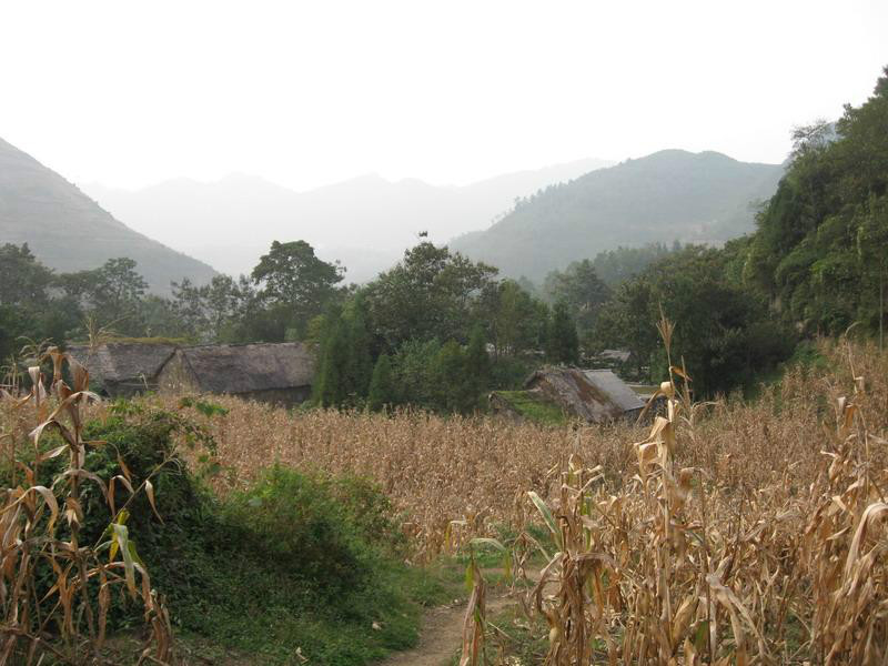 岩腳自然村(林口彝族苗族鄉娃飛村委會下轄自然村)