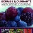 How to Grow Berries and Currants