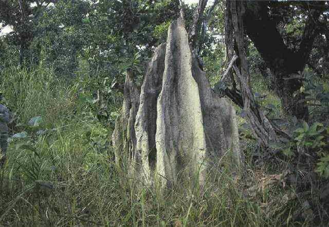 羅亞爾奇萬國家公園