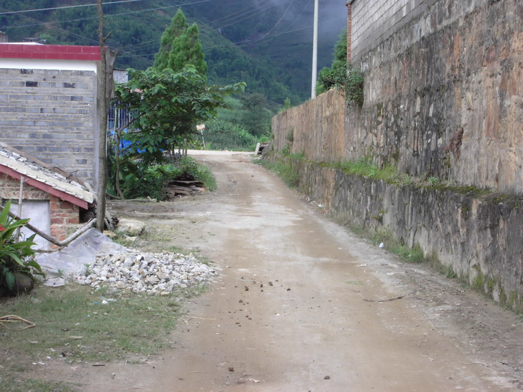 水塘鎮大口村村民委員會稱桿村進村道路