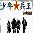 少年兵王(新浪讀書網小說)