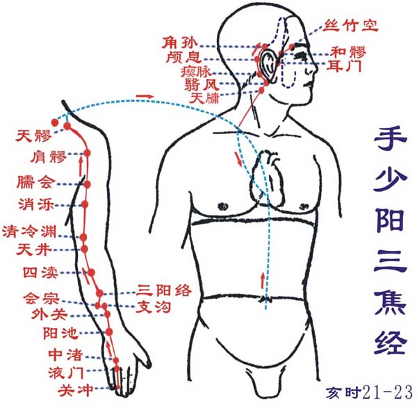 三焦經