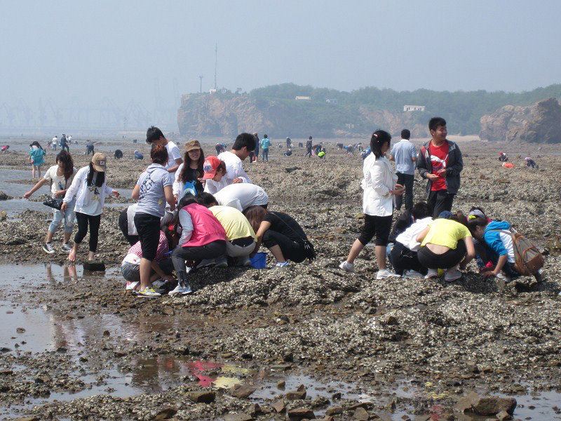 生物教育專業學生在進行野外實習