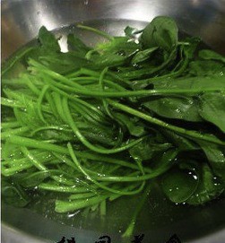 蒜油泡菠菜