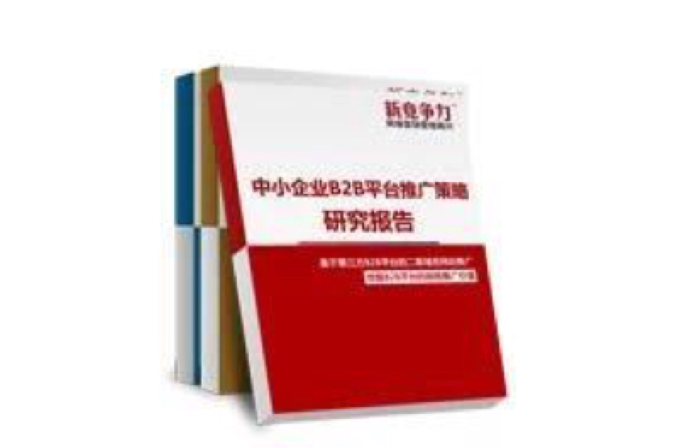 中小企業B2B平台推廣策略研究報告