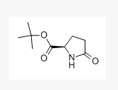 D-焦谷氨酸叔丁酯