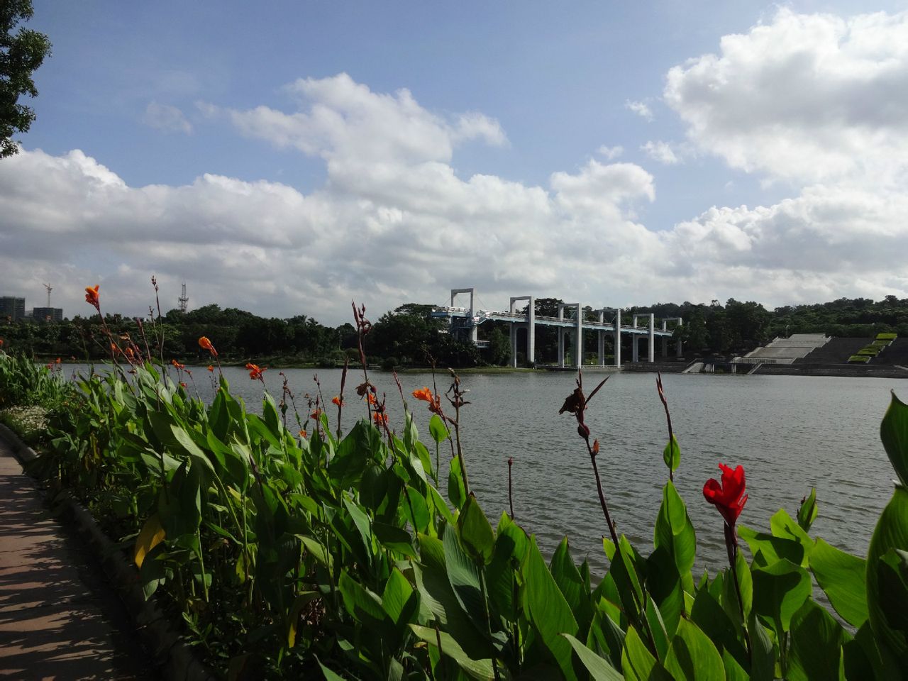 東莞植物園