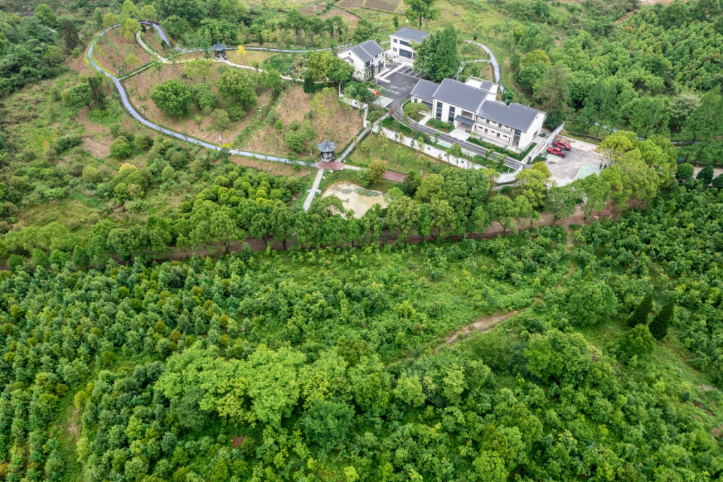 江山坪珍貴樹種園