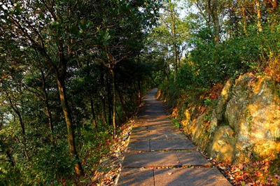 長崗山森林公園沿途景色