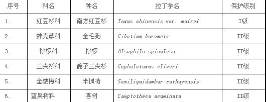 高坪自然保護區國家重點保護野生植物一覽表