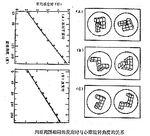 心理旋轉實驗