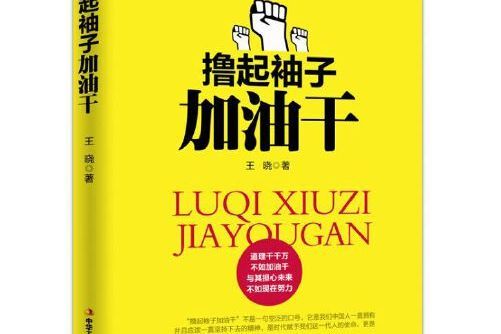 擼起袖子加油乾(2017年中華工商聯合出版社出版的圖書)