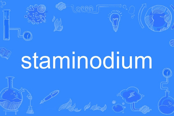 staminodium