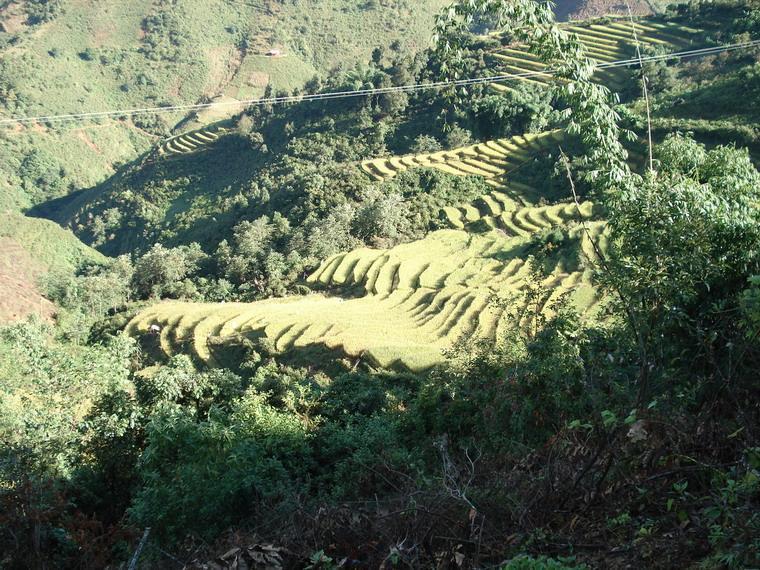 小麻哈自然村