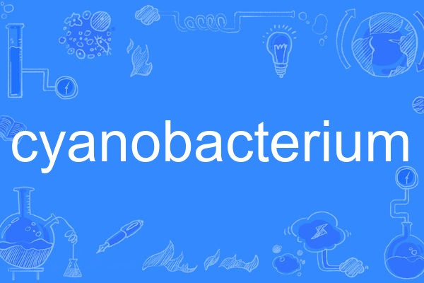 cyanobacterium