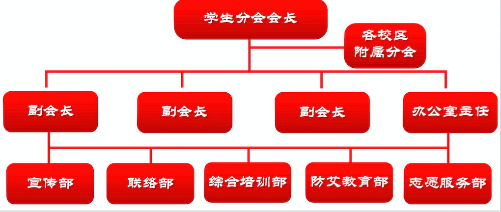 北京城市學院紅十字會學生分會