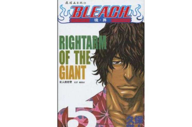 BLEACH 境·界5