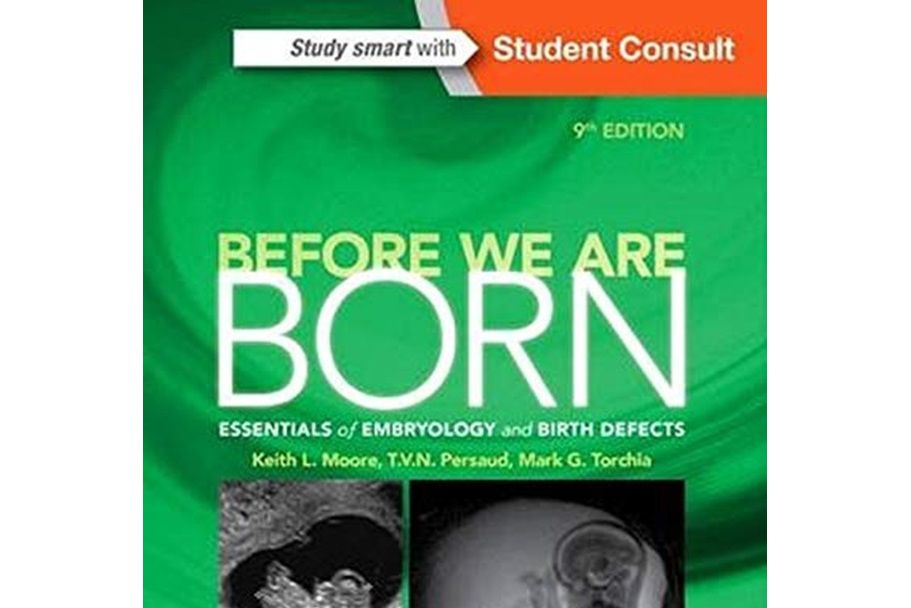 Before We Are Born: Essentials of Embryology and Birth Defects, 9e