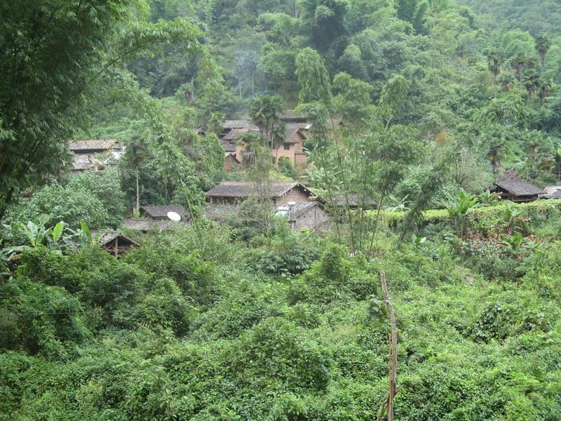 竹箐河自然村