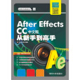 After Effects CC中文版從新手到高手