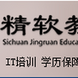 四川精軟科技有限公司