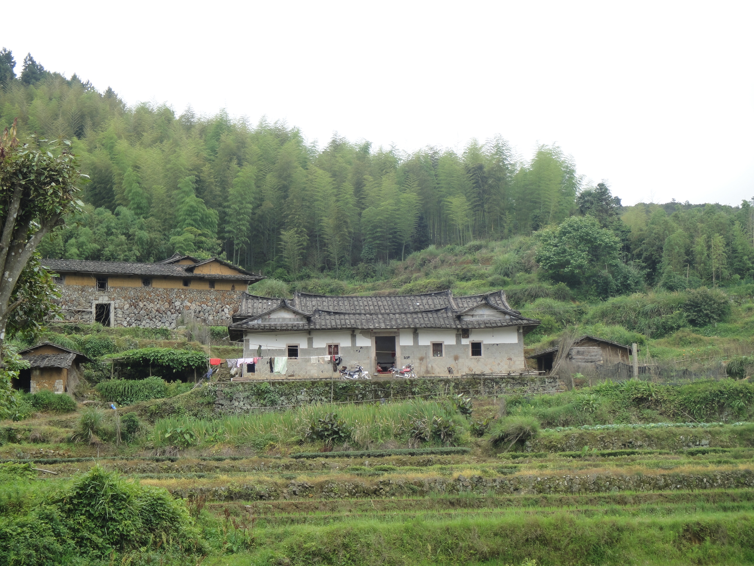 安溪鶴林村