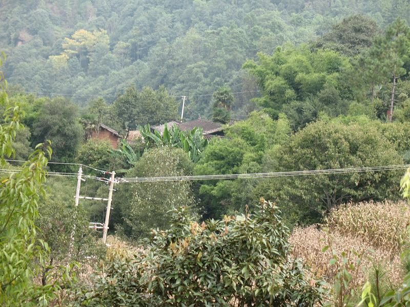 阿高咪二村