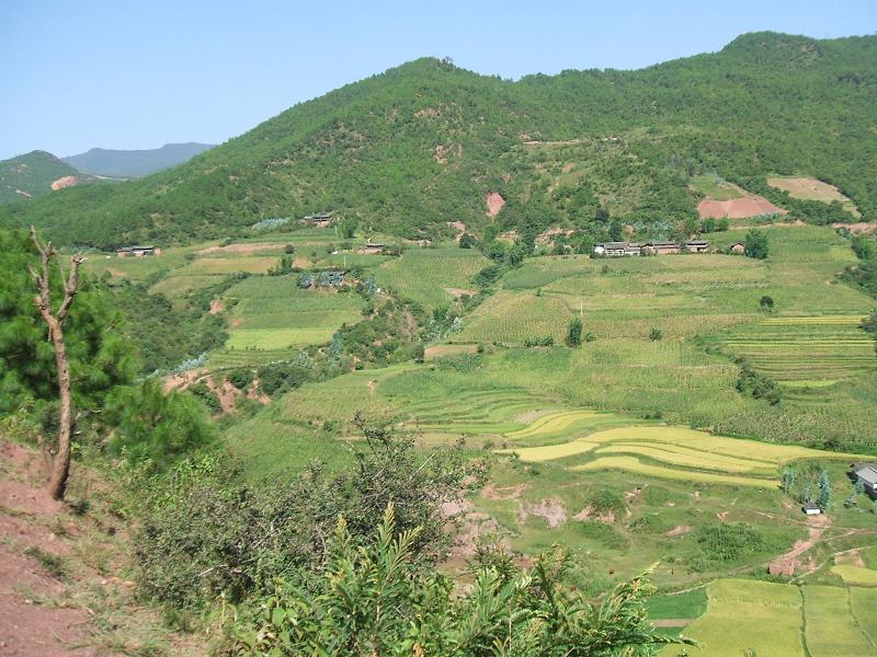 石房河村