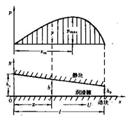 圖3  一維潤滑膜和壓力分布
