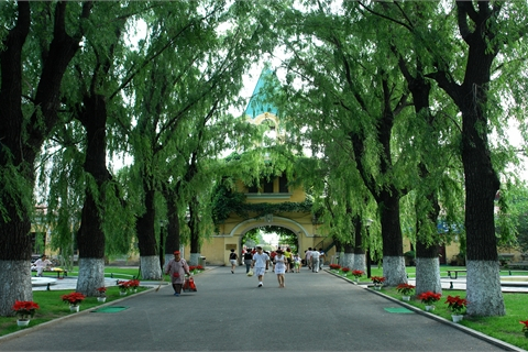 清濱公園