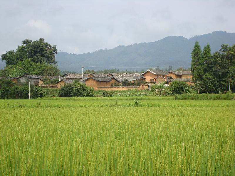 送項村