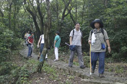 遠足(hiking)