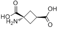 1-氨基環丁烷-反式-1,3-二羧酸