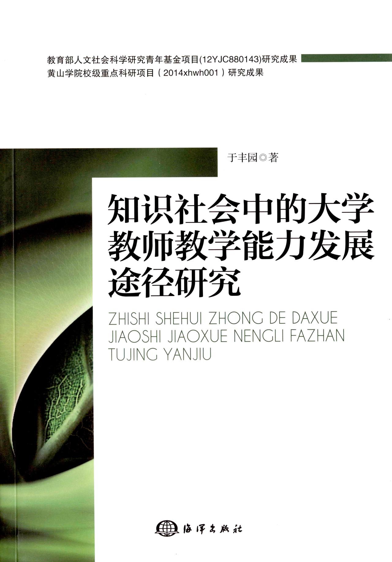 知識社會中的大學教師教學能力發展途徑研究