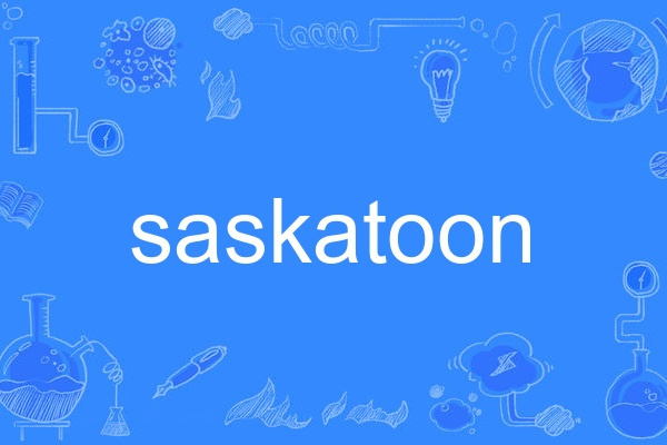 saskatoon