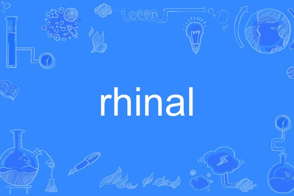 rhinal