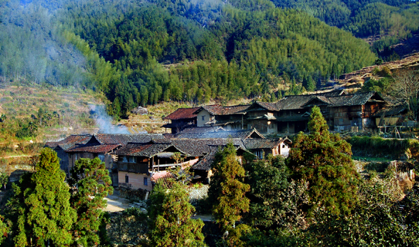 嶺北村(浙江省景寧縣外舍鄉嶺北村)