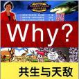 Why?系列