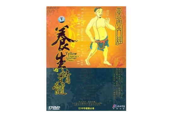 養生精髓(17DVD)