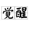 覺醒(漢語詞語)