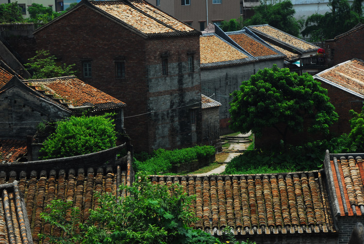 石排村(廣州市番禺區東涌鎮下轄村)