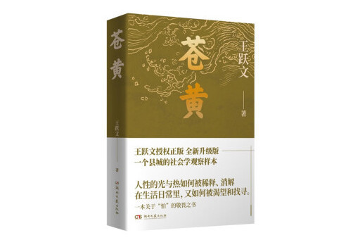 蒼黃(2023年湖南文藝出版社出版的圖書)