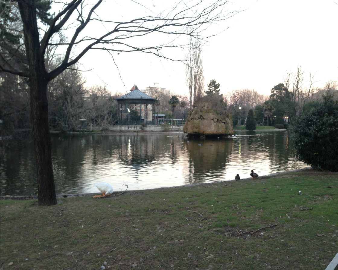 蒙特利馬公共花園