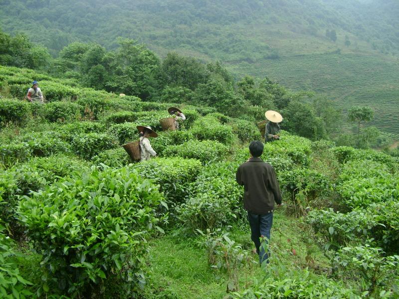 習比東村