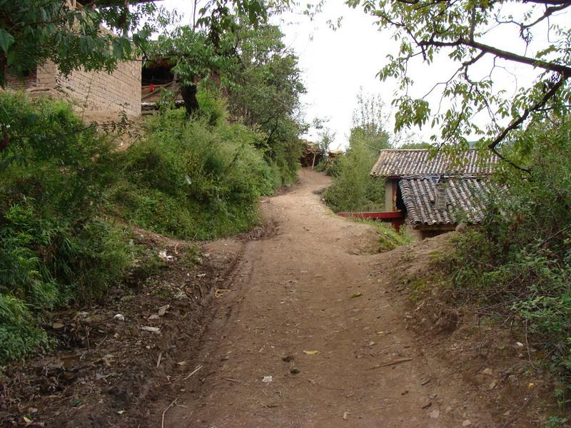 進村道路