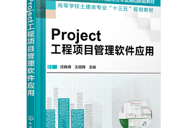 Project工程項目管理軟體套用