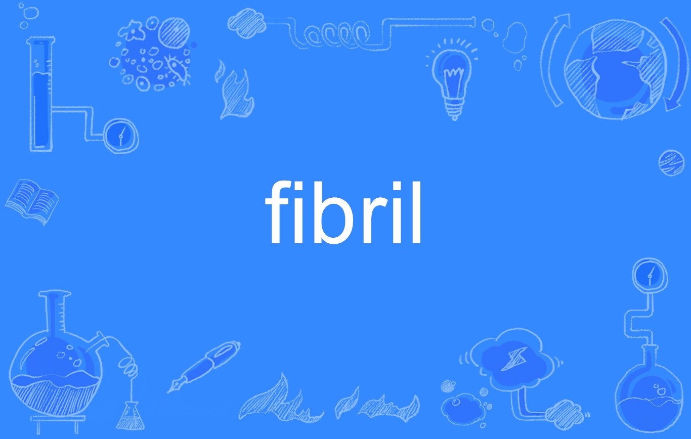 fibril