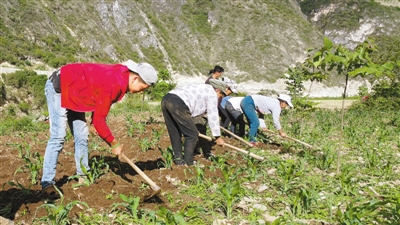 2018年察隅縣瓦龍鄉松塔村耕地一角