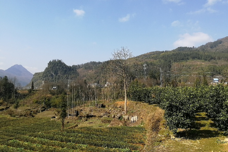 黃土壩村(湖南省懷化市靖州苗族侗族自治縣下轄村)