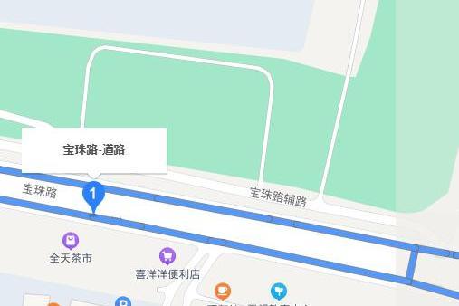 寶珠路(廣州市道路)